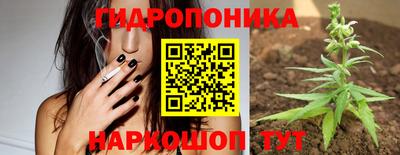 тгк Кандалакша